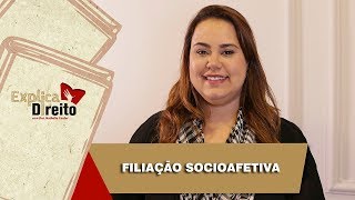 Explica Direito Filiação Socioafetiva  2019 [upl. by Paley]