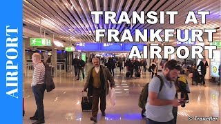 TRANSIT WALK AT FRANKFURT Airport FRA Terminal 1  Connection Flight Transfer Arriving amp Departing [upl. by Ogires]